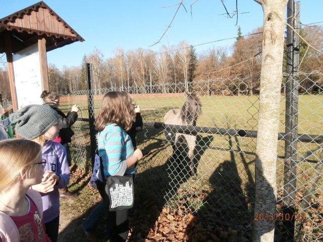 25.10.2013_WYCIECZKA DO BIAŁOWIEŻY41.JPG